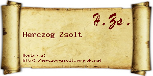 Herczog Zsolt névjegykártya
